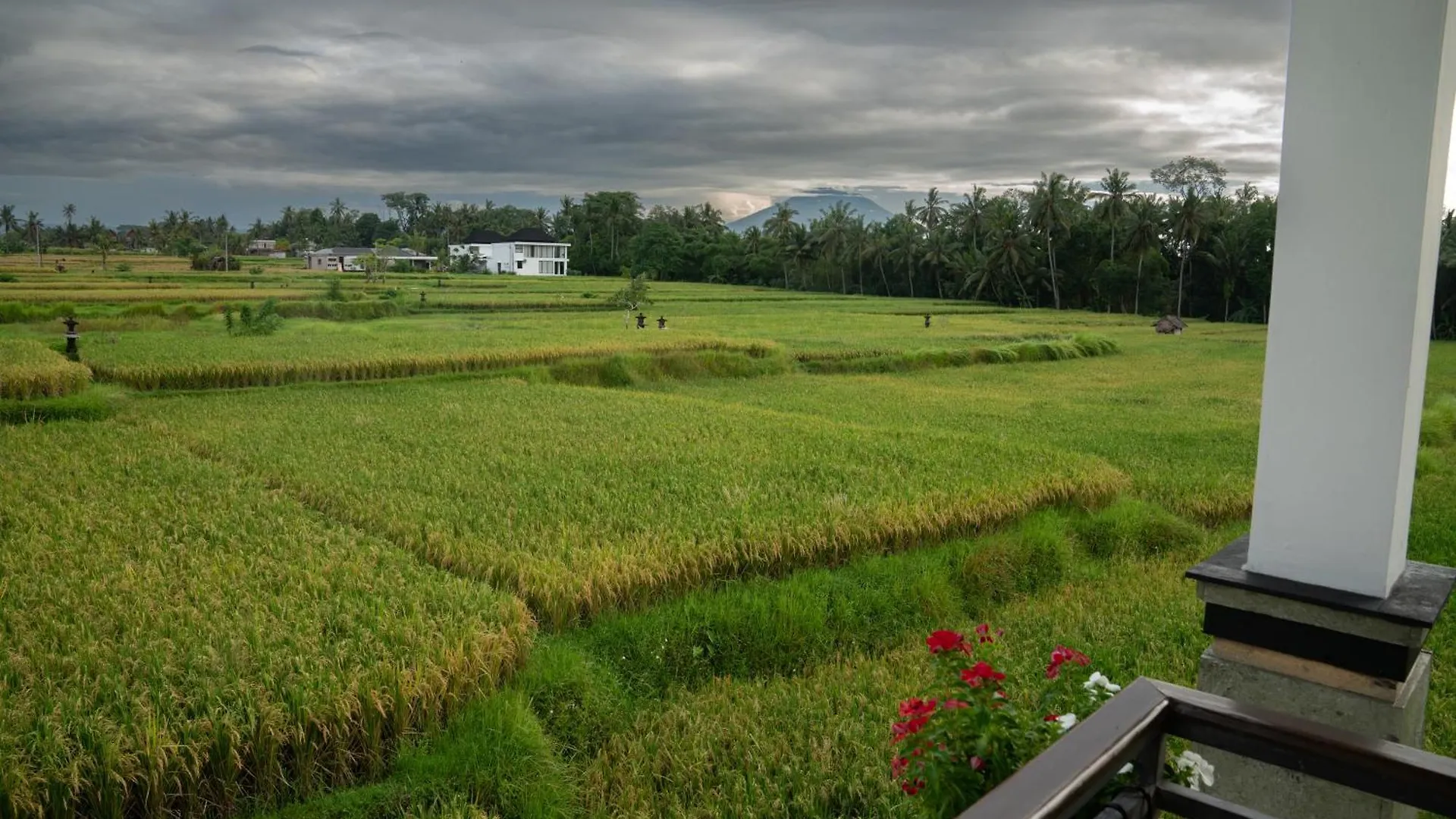 Ananditha Villa Ubud Ricefield Views Indonesia